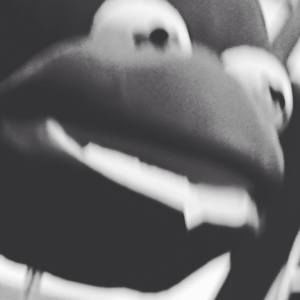 Meet your Posher, Ben